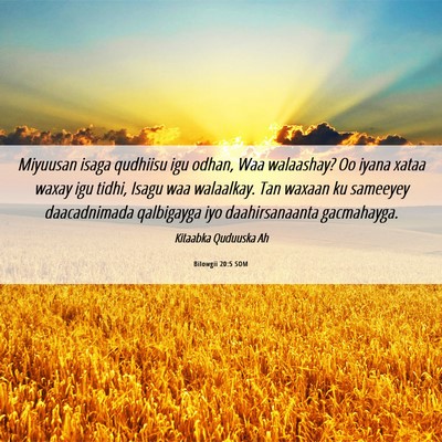 Picture 06 - Bilowgii 20:5 SOM - Miyuusan isaga qudhiisu igu odhan, Waa walaashay? - Bible Verse Picture