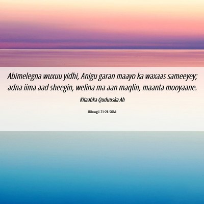 Picture 06 - Bilowgii 21:26 SOM - Abimelegna wuxuu yidhi, Anigu garan maayo ka - Bible Verse Picture