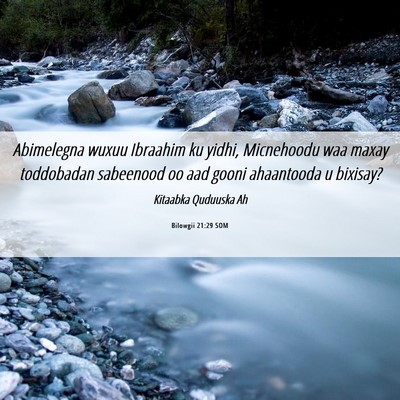 Picture 06 - Bilowgii 21:29 SOM - Abimelegna wuxuu Ibraahim ku yidhi, Micnehoodu - Bible Verse Picture