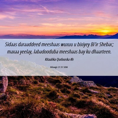 Picture 06 - Bilowgii 21:31 SOM - Sidaas daraaddeed meeshaas wuxuu u bixiyey Bi'ir - Bible Verse Picture