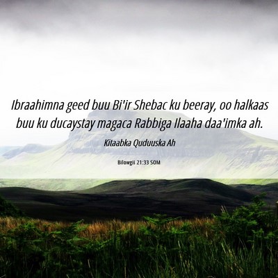Picture 06 - Bilowgii 21:33 SOM - Ibraahimna geed buu Bi'ir Shebac ku beeray, oo - Bible Verse Picture