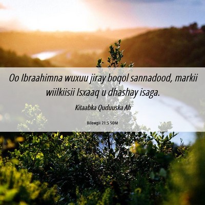 Picture 06 - Bilowgii 21:5 SOM - Oo Ibraahimna wuxuu jiray boqol sannadood, markii - Bible Verse Picture