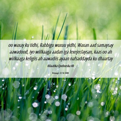 Picture 06 - Bilowgii 22:16 SOM - oo waxay ku tidhi, Rabbigu wuxuu yidhi, Waxan aad - Bible Verse Picture