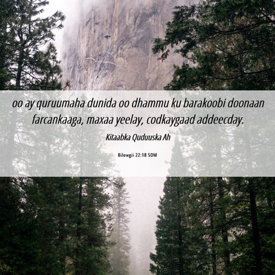 Picture 06 - Bilowgii 22:18 SOM - oo ay quruumaha dunida oo dhammu ku barakoobi - Bible Verse Picture