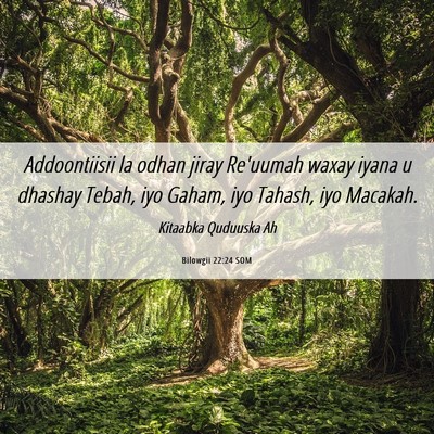 Picture 06 - Bilowgii 22:24 SOM - Addoontiisii la odhan jiray Re'uumah waxay iyana - Bible Verse Picture