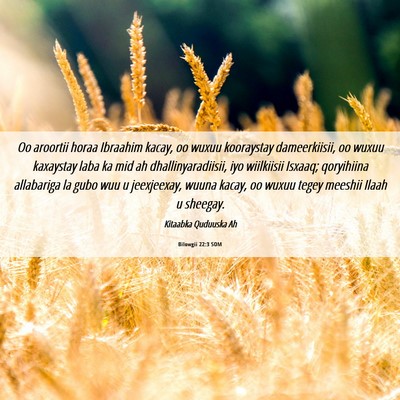 Picture 06 - Bilowgii 22:3 SOM - Oo aroortii horaa Ibraahim kacay, oo wuxuu - Bible Verse Picture