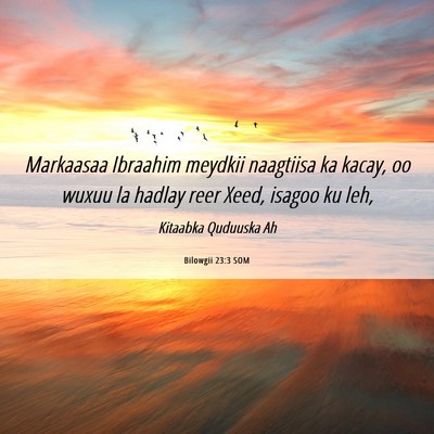 Picture 06 - Bilowgii 23:3 SOM - Markaasaa Ibraahim meydkii naagtiisa ka kacay, oo - Bible Verse Picture