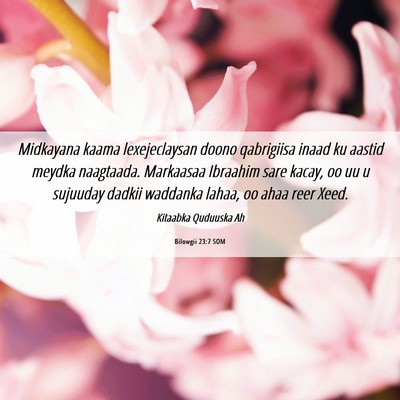 Picture 06 - Bilowgii 23:7 SOM - Midkayana kaama lexejeclaysan doono qabrigiisa - Bible Verse Picture