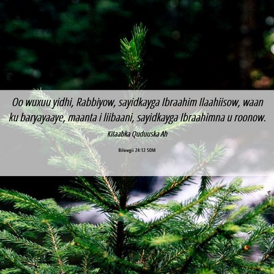 Picture 06 - Bilowgii 24:12 SOM - Oo wuxuu yidhi, Rabbiyow, sayidkayga Ibraahim - Bible Verse Picture