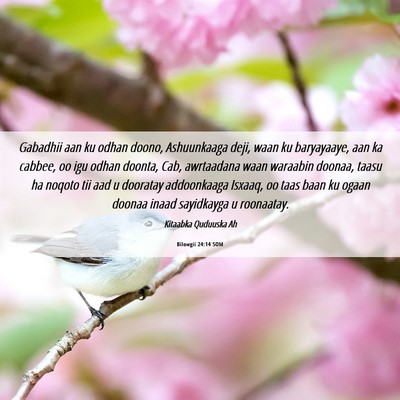 Picture 06 - Bilowgii 24:14 SOM - Gabadhii aan ku odhan doono, Ashuunkaaga deji, - Bible Verse Picture