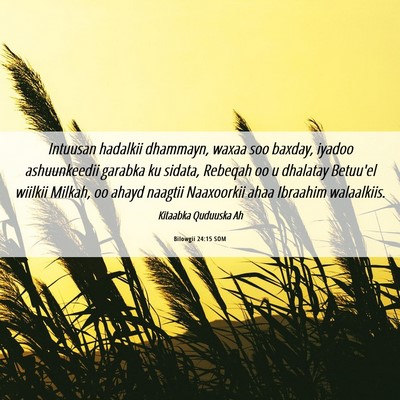 Picture 06 - Bilowgii 24:15 SOM - Intuusan hadalkii dhammayn, waxaa soo baxday, - Bible Verse Picture