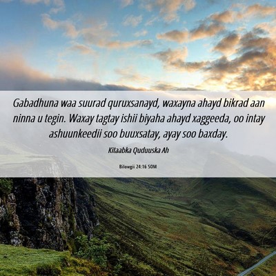 Picture 06 - Bilowgii 24:16 SOM - Gabadhuna waa suurad quruxsanayd, waxayna ahayd - Bible Verse Picture