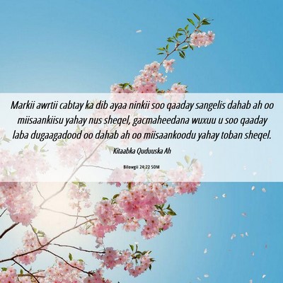 Picture 06 - Bilowgii 24:22 SOM - Markii awrtii cabtay ka dib ayaa ninkii soo - Bible Verse Picture
