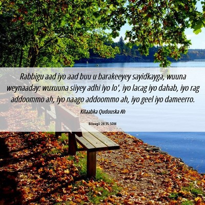 Picture 06 - Bilowgii 24:35 SOM - Rabbigu aad iyo aad buu u barakeeyey sayidkayga, - Bible Verse Picture