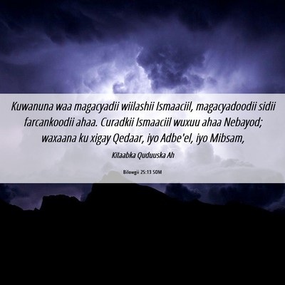 Picture 06 - Bilowgii 25:13 SOM - Kuwanuna waa magacyadii wiilashii Ismaaciil, - Bible Verse Picture