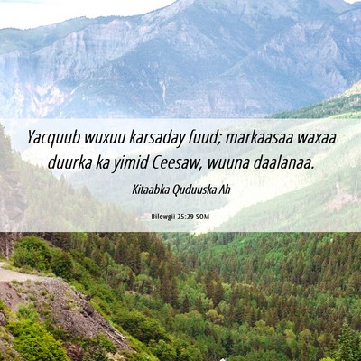 Picture 06 - Bilowgii 25:29 SOM - Yacquub wuxuu karsaday fuud; markaasaa waxaa - Bible Verse Picture