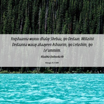 Picture 06 - Bilowgii 25:3 SOM - Yoqshaanna wuxuu dhalay Shebaa, iyo Dedaan. - Bible Verse Picture