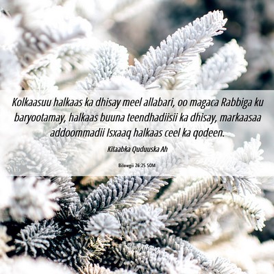 Picture 06 - Bilowgii 26:25 SOM - Kolkaasuu halkaas ka dhisay meel allabari, oo - Bible Verse Picture