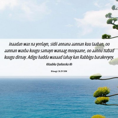 Picture 06 - Bilowgii 26:29 SOM - inaadan wax na yeelayn, sidii annana aannan kuu - Bible Verse Picture