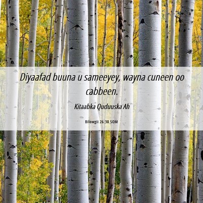 Picture 06 - Bilowgii 26:30 SOM - Diyaafad buuna u sameeyey, wayna cuneen oo - Bible Verse Picture