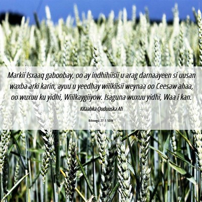 Picture 06 - Bilowgii 27:1 SOM - Markii Isxaaq gaboobay, oo ay indhihiisii u arag - Bible Verse Picture