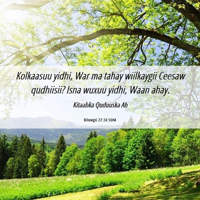 Picture 06 - Bilowgii 27:24 SOM - Kolkaasuu yidhi, War ma tahay wiilkaygii Ceesaw - Bible Verse Picture
