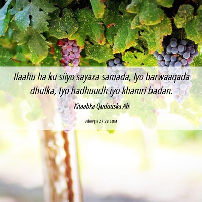 Picture 06 - Bilowgii 27:28 SOM - Ilaahu ha ku siiyo sayaxa samada, Iyo barwaaqada - Bible Verse Picture