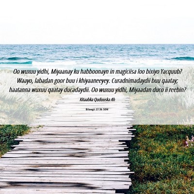 Picture 06 - Bilowgii 27:36 SOM - Oo wuxuu yidhi, Miyaanay ku habboonayn in - Bible Verse Picture