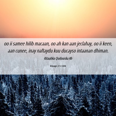 Picture 06 - Bilowgii 27:4 SOM - oo ii samee hilib macaan, oo ah kan aan jeclahay, - Bible Verse Picture