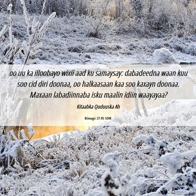Picture 06 - Bilowgii 27:45 SOM - oo uu ka illoobayo wixii aad ku samaysay: - Bible Verse Picture