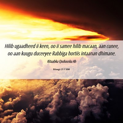 Picture 06 - Bilowgii 27:7 SOM - Hilib ugaadheed ii keen, oo ii samee hilib - Bible Verse Picture