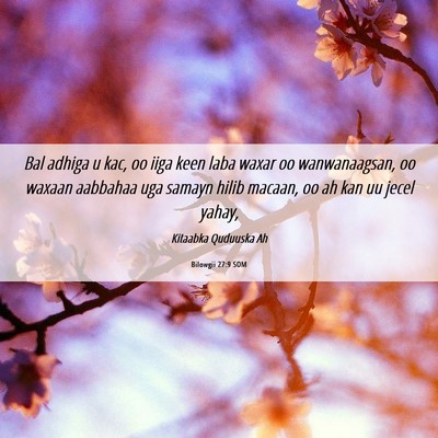 Picture 06 - Bilowgii 27:9 SOM - Bal adhiga u kac, oo iiga keen laba waxar oo - Bible Verse Picture