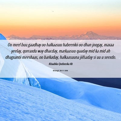 Picture 06 - Bilowgii 28:11 SOM - Oo meel buu gaadhay oo halkaasuu habeenkii oo - Bible Verse Picture