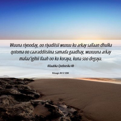 Picture 06 - Bilowgii 28:12 SOM - Wuuna riyooday, oo riyadiisii wuxuu ku arkay - Bible Verse Picture
