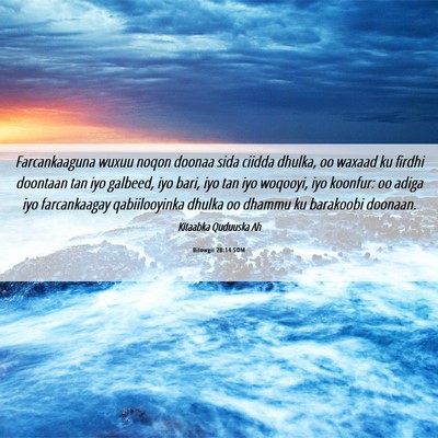 Picture 06 - Bilowgii 28:14 SOM - Farcankaaguna wuxuu noqon doonaa sida ciidda - Bible Verse Picture