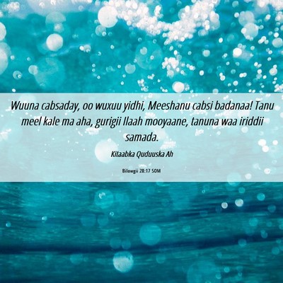 Picture 06 - Bilowgii 28:17 SOM - Wuuna cabsaday, oo wuxuu yidhi, Meeshanu cabsi - Bible Verse Picture