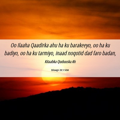Picture 06 - Bilowgii 28:3 SOM - Oo Ilaaha Qaadirka ahu ha ku barakeeyo, oo ha ku - Bible Verse Picture