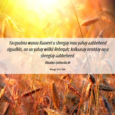 Picture 06 - Bilowgii 29:12 SOM - Yacquubna wuxuu Raaxeel u sheegay inuu yahay - Bible Verse Picture