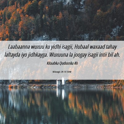 Picture 06 - Bilowgii 29:14 SOM - Laabaanna wuxuu ku yidhi isagii, Hubaal waxaad - Bible Verse Picture