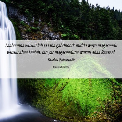 Picture 06 - Bilowgii 29:16 SOM - Laabaanna wuxuu lahaa laba gabdhood: midda weyn - Bible Verse Picture
