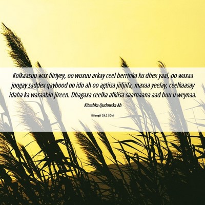 Picture 06 - Bilowgii 29:2 SOM - Kolkaasuu wax fiiriyey, oo wuxuu arkay ceel - Bible Verse Picture