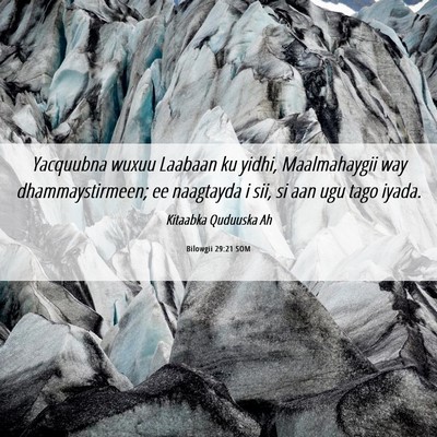 Picture 06 - Bilowgii 29:21 SOM - Yacquubna wuxuu Laabaan ku yidhi, Maalmahaygii - Bible Verse Picture