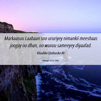 Picture 06 - Bilowgii 29:22 SOM - Markaasuu Laabaan soo ururiyey nimankii meeshaas - Bible Verse Picture