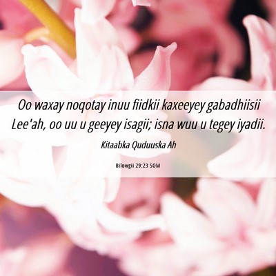Picture 06 - Bilowgii 29:23 SOM - Oo waxay noqotay inuu fiidkii kaxeeyey - Bible Verse Picture