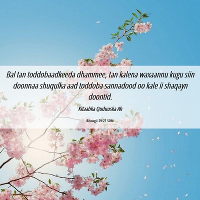 Picture 06 - Bilowgii 29:27 SOM - Bal tan toddobaadkeeda dhammee, tan kalena - Bible Verse Picture