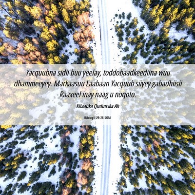 Picture 06 - Bilowgii 29:28 SOM - Yacquubna sidii buu yeelay, toddobaadkeediina wuu - Bible Verse Picture
