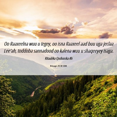 Picture 06 - Bilowgii 29:30 SOM - Oo Raaxeelna wuu u tegey, oo isna Raaxeel aad buu - Bible Verse Picture