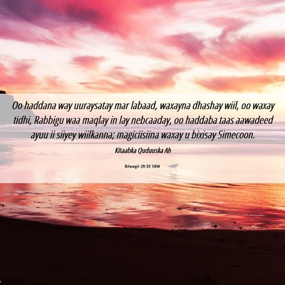 Picture 06 - Bilowgii 29:33 SOM - Oo haddana way uuraysatay mar labaad, waxayna - Bible Verse Picture