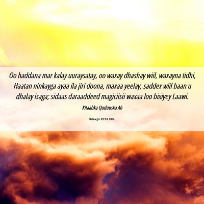 Picture 06 - Bilowgii 29:34 SOM - Oo haddana mar kalay uuraysatay, oo waxay dhashay - Bible Verse Picture