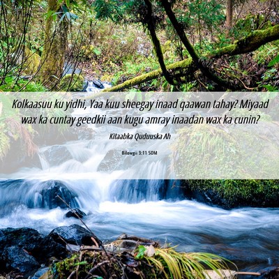 Picture 06 - Bilowgii 3:11 SOM - Kolkaasuu ku yidhi, Yaa kuu sheegay inaad qaawan - Bible Verse Picture